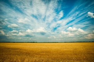 photo of grass field