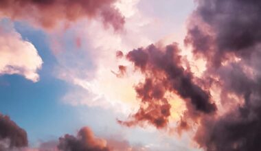 down angle photography of red clouds and blue sky