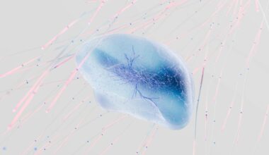 an artist s illustration of artificial intelligence ai this image represents how machine learning is inspired by neuroscience and the human brain it was created by novoto studio as par
