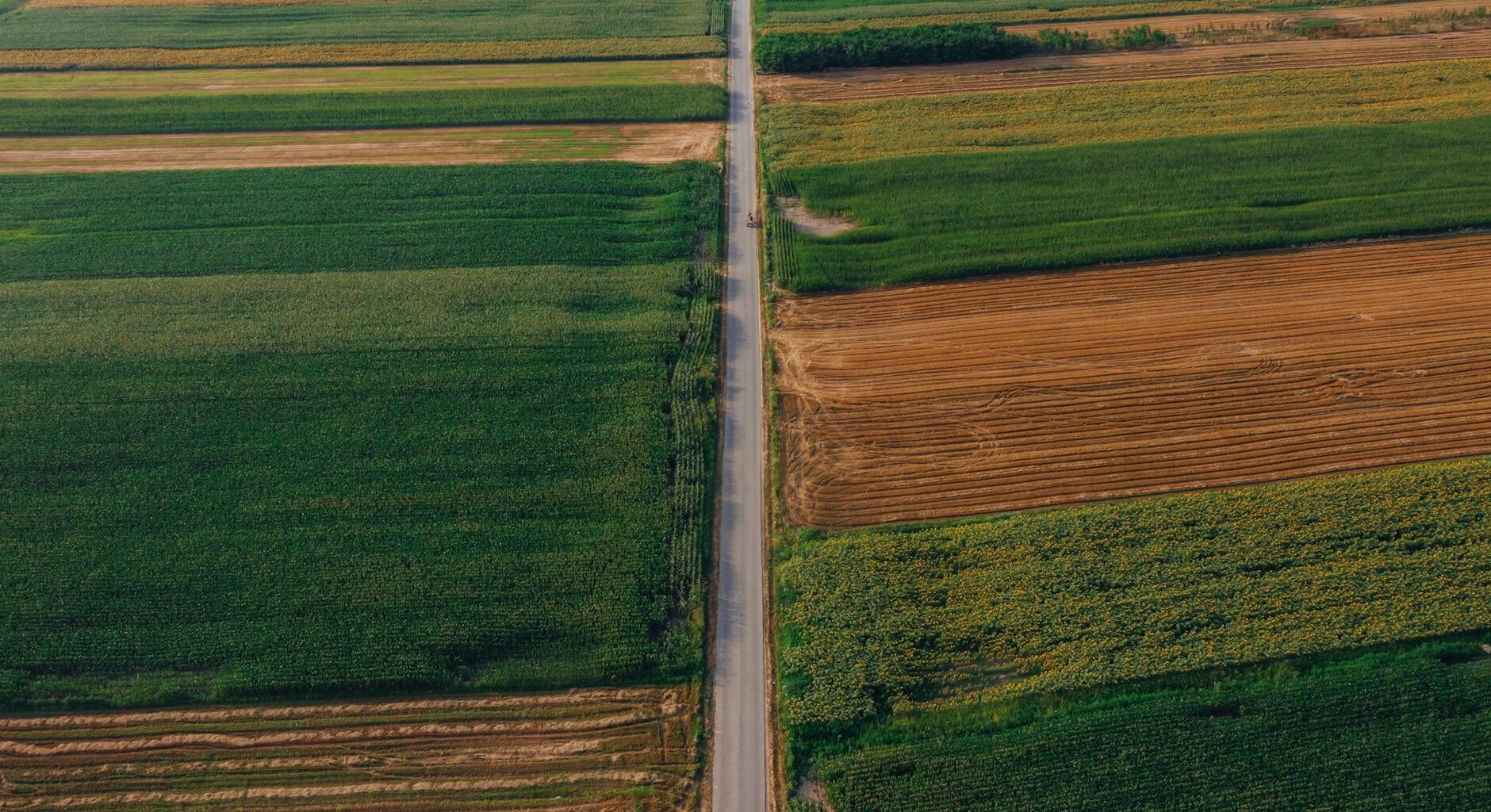 green and brown field in aerial photography