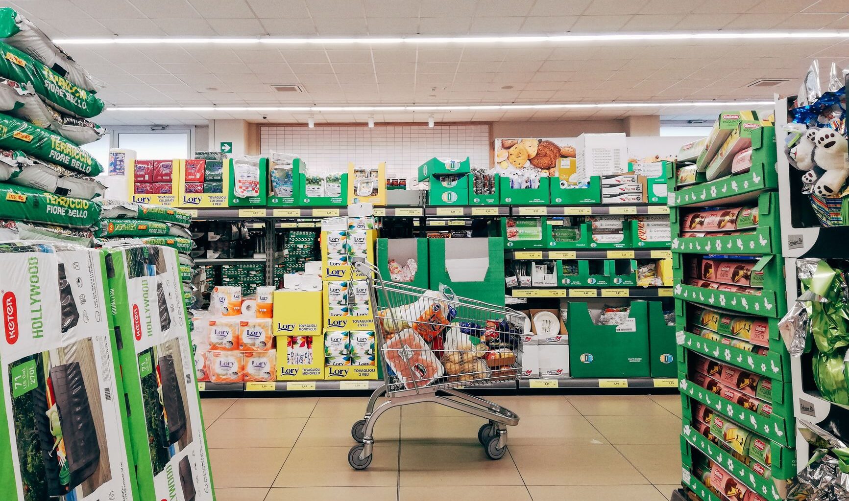 a shopping cart in a grocery store