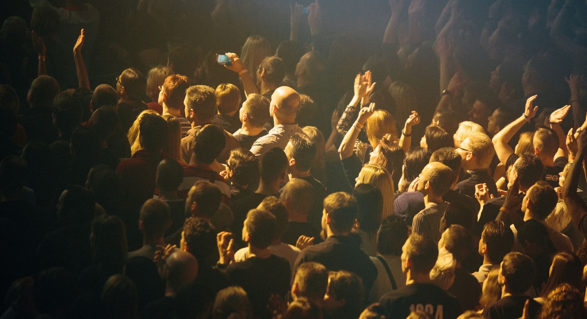 people festival crowd concert