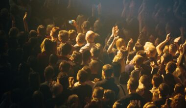 people festival crowd concert