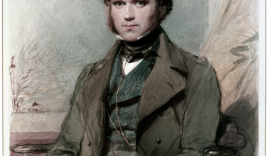darwin