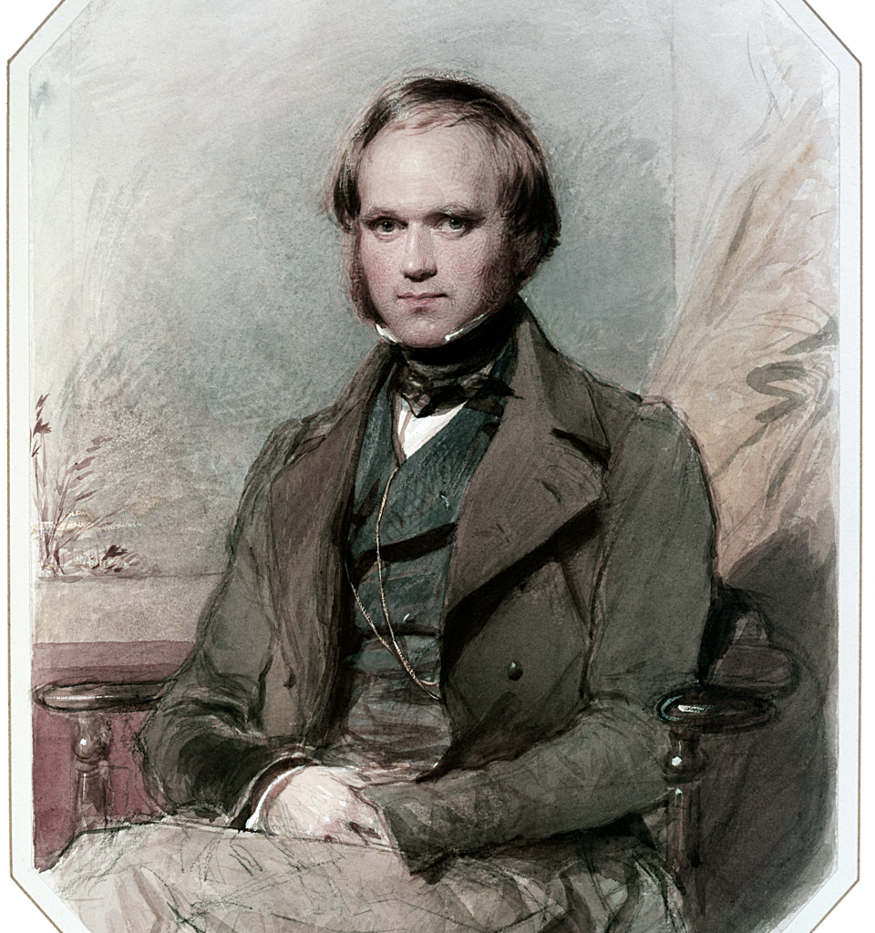 darwin